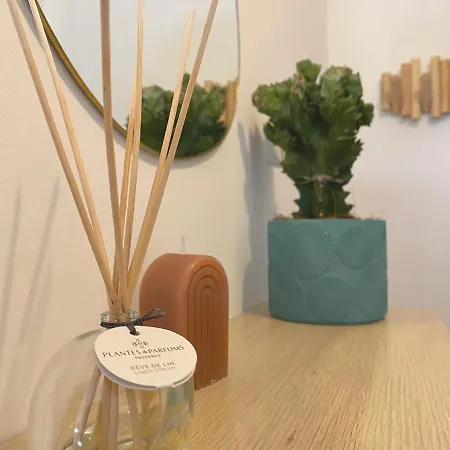 Vecchio Centre Appartamento