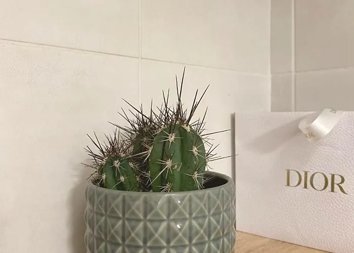 Vecchio Centre * Porto-Vecchio (Corsica)